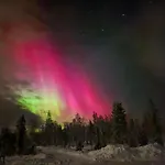 Kotatieva *