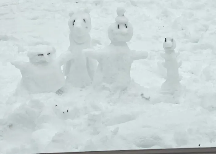 Апартаменты Kotatieva *